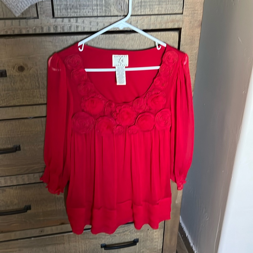 Beautiful babydoll embellished blouse